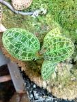     
: IMG_20180225_211001.jpg
: 17
:	131.0 
ID:	12579107