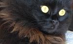     
: IMG_20180225_134535.jpg
: 52
:	111.5 
ID:	12579997