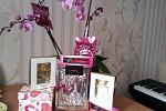     
: Bombshell Eau de Parfum.jpg
: 9
:	237.1 
ID:	12582741