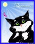     
: 938799505.jpg
: 19
:	24.4 
ID:	12582877