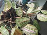     
: IMG_20180301_084239.jpg
: 18
:	175.3 
ID:	12583014