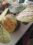     
: IMG_20180301_084247.jpg
: 20
:	86.0 
ID:	12583015