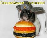     
: 8fb4cffb27ff.jpg
: 18
:	34.9 
ID:	12586892
