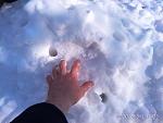     
: IMG_20180301_103341.jpg
: 9
:	149.7 
ID:	12587322
