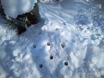     
: IMG_20180301_103324.jpg
: 10
:	170.6 
ID:	12587323