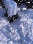     
: IMG_20180301_103245.jpg
: 9
:	177.5 
ID:	12587324