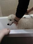     
: fffffff.jpg
: 30
:	41.9 
ID:	12587377