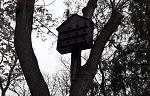     
: 20180127_133300-iloveimg-cropped.jpg
: 19
:	254.8 
ID:	12593483