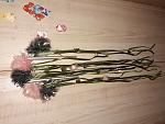     
: 20180301_210217.jpg
: 7
:	141.1 
ID:	12593718