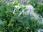     
: DSC02609.jpg
: 15
:	226.7 
ID:	12596200
