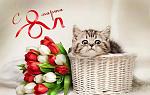     
: 43a2cca97665d1bce01fac124052b36d.jpg
: 16
:	52.1 
ID:	12596552