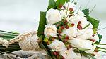     
: bouquet-flower-rose-whitte.jpg
: 17
:	176.9 
ID:	12596676