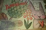     
: P80308-183624(1).jpg
: 36
:	133.7 
ID:	12596963