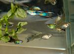     
: DSC06656.jpg
: 13
:	172.2 
ID:	12597014
