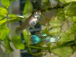     
: DSC06652.jpg
: 13
:	182.0 
ID:	12597017