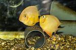    
: DSC06476.jpg
: 40
:	194.5 
ID:	12597030