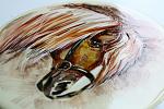     
: IMG_7728.jpg
: 8
:	119.1 
ID:	12603186