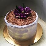     
: IMG_8087.jpg
: 13
:	120.6 
ID:	12607876