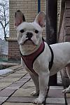     
: FB_IMG_1521389026651.jpg
: 14
:	65.8 
ID:	12611997
