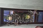     
: DSC_0647.jpg
: 9
:	84.3 
ID:	12612517