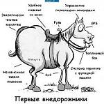     
: конежип.jpg
: 19
:	12.5 
ID:	12612531