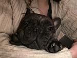     
: 38C3F041-A070-4428-AF71-FE4D1A1F2CEF.jpg
: 16
:	89.0 
ID:	12614688