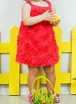     
: DSC_6799_.jpg
: 22
:	75.6 
ID:	12614874