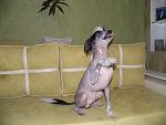     
: 0_a3YqsLlLo.jpg
: 6
:	159.1 
ID:	12615235