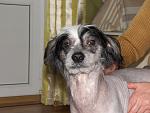     
: 9eHAXEimz1A.jpg
: 9
:	219.5 
ID:	12615237