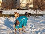     
: PmWCsvC9EeQ.jpg
: 8
:	205.7 
ID:	12615241