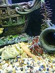     
: DSC_0684.jpg
: 14
:	149.4 
ID:	12615608