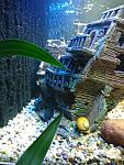     
: DSC_0680.jpg
: 12
:	158.5 
ID:	12615609