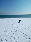     
: P80321-094459.jpg
: 26
:	62.3 
ID:	12616583