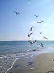     
: P80321-095742.jpg
: 23
:	75.2 
ID:	12616588