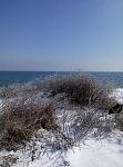     
: P80321-101957.jpg
: 20
:	140.9 
ID:	12616601
