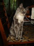     
: DSC00024.jpg
: 75
:	84.1 
ID:	1261778