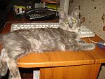     
: DSC00002.jpg
: 71
:	146.9 
ID:	1261872