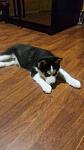     
: IMG-fa527c4e1985ef18535f95b99770ea4f-V.jpg
: 4
:	55.8 
ID:	12618925