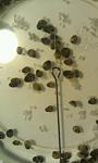     
: IMG-b3bb65e112ab996579d44956ecc11e3d-V.jpg
: 51
:	41.6 
ID:	12619457