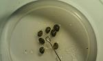     
: IMG-a1c564bba03b9e4452de695f5efd66fd-V.jpg
: 53
:	227.8 
ID:	12619461