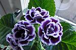     
: 120102332320000000.jpg
: 1
:	138.2 
ID:	12619635