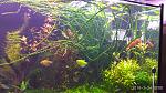     
: IMG_20180324_100026.jpg
: 10
:	170.7 
ID:	12620751