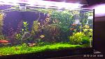     
: IMG_20180324_100036.jpg
: 12
:	115.4 
ID:	12620752
