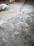     
: P80324-100039.jpg
: 35
:	91.0 
ID:	12621687