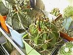     
: 041017_141126.jpg
: 65
:	54.6 
ID:	126223