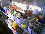     
: 041024_102326.jpg
: 82
:	31.4 
ID:	126224