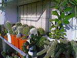     
: 041024_102508.jpg
: 76
:	44.2 
ID:	126225