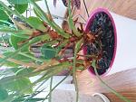     
: 20180327_144306.jpg
: 217
:	137.3 
ID:	12625638