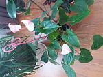     
: 20180327_144320.jpg
: 246
:	125.3 
ID:	12625640