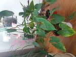     
: 20180327_144337.jpg
: 224
:	130.5 
ID:	12625642
